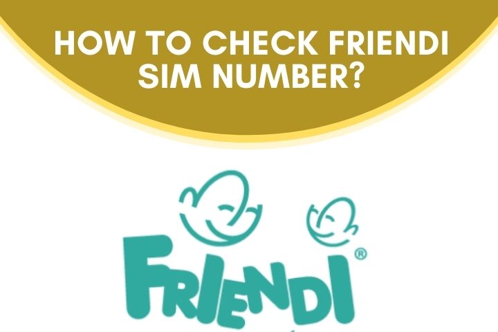 How to Check FRiENDi SIM Number
