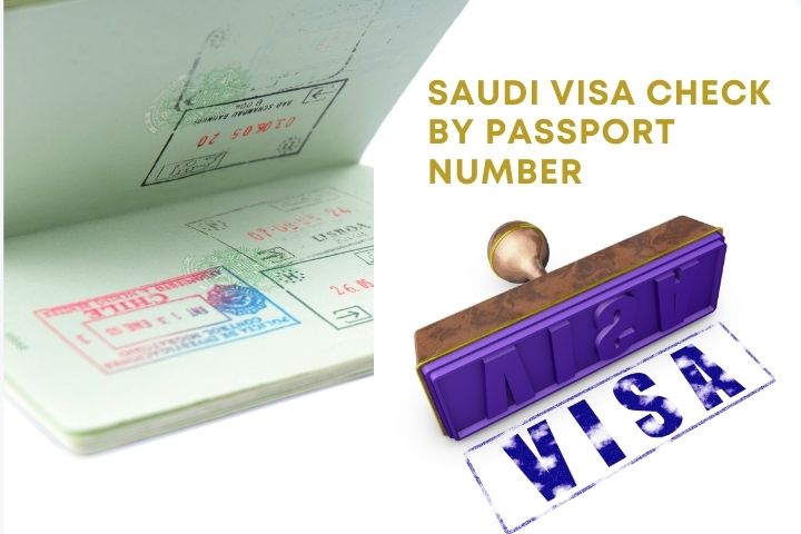 Saudi Visa Check By Passport Number